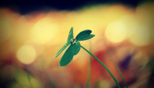 法国遭遇惨败,晋级前景堪忧