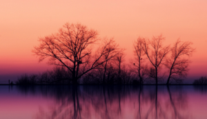 法国遭遇惨败，晋级前景堪忧