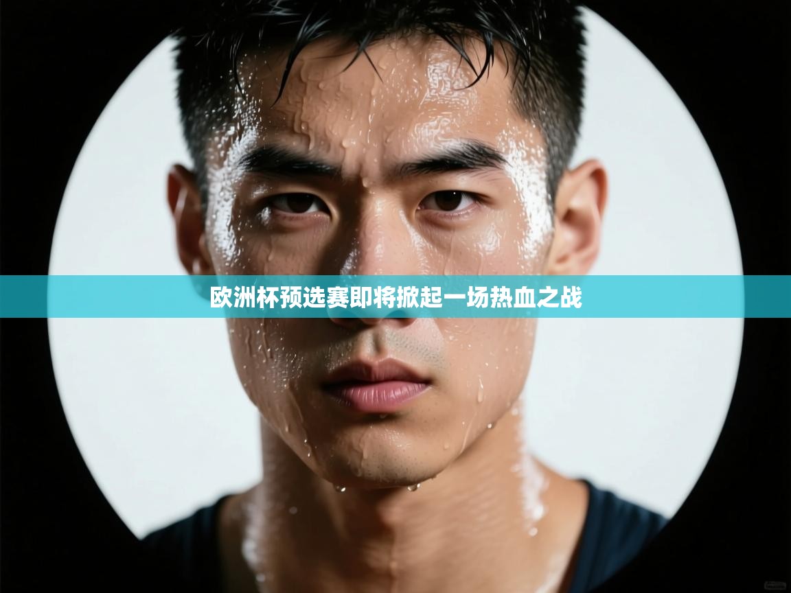 欧洲杯预选赛即将掀起一场热血之战 第2张