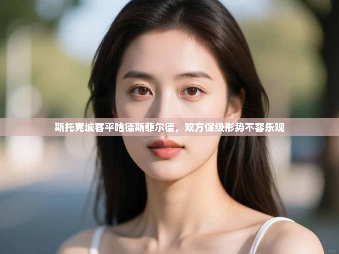 斯托克城客平哈德斯菲尔德,双方保级形势不容乐观 第2张