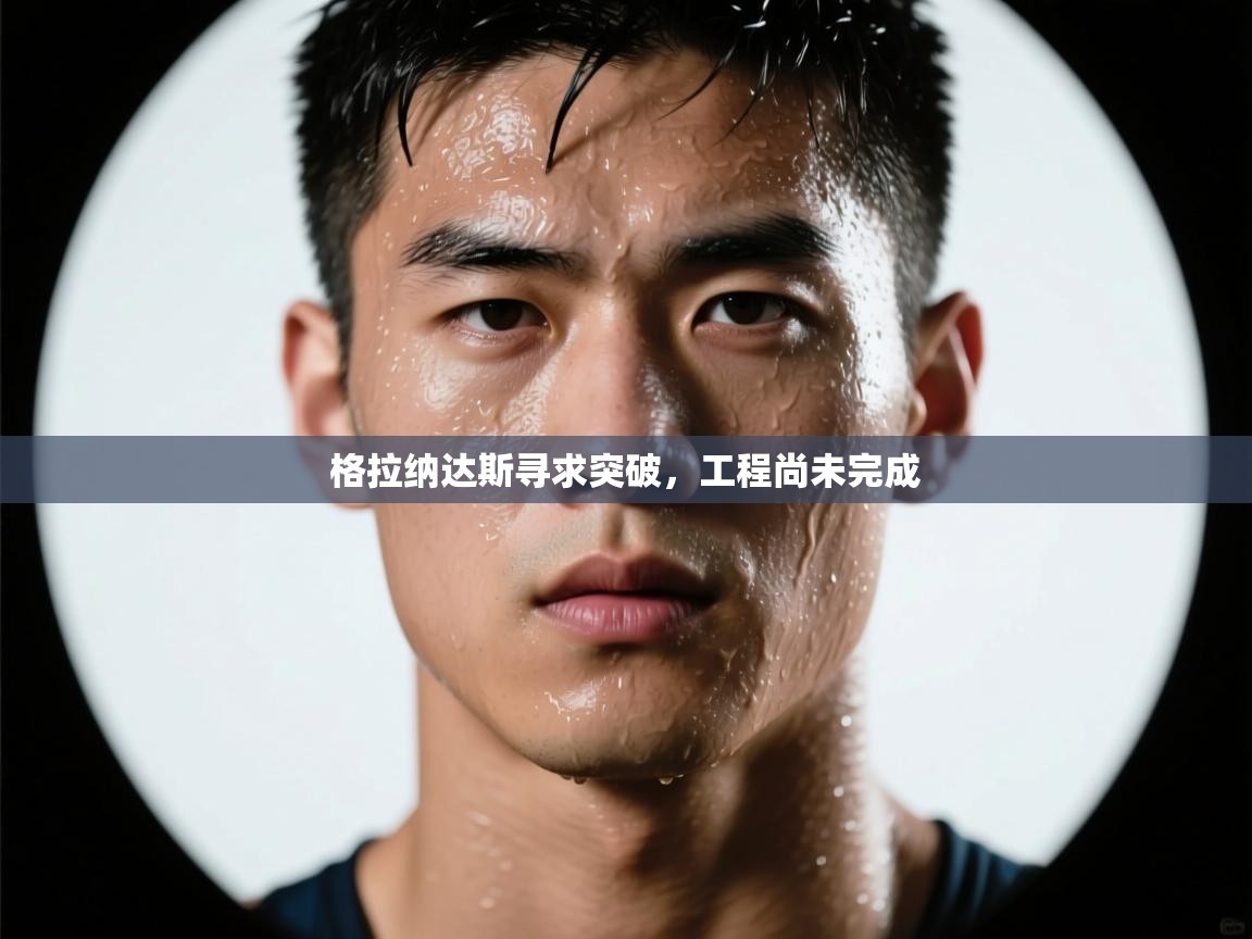 格拉纳达斯寻求突破,工程尚未完成