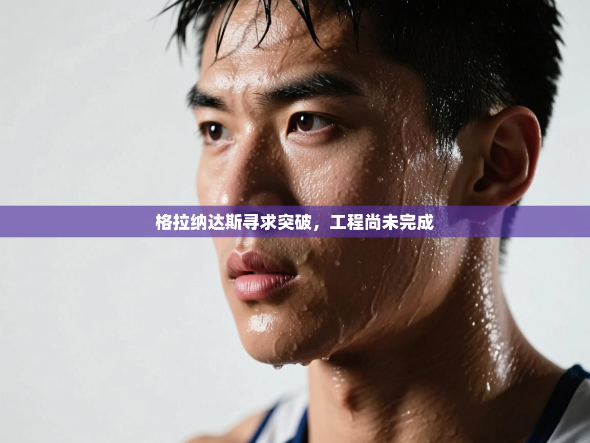 格拉纳达斯寻求突破,工程尚未完成 第2张