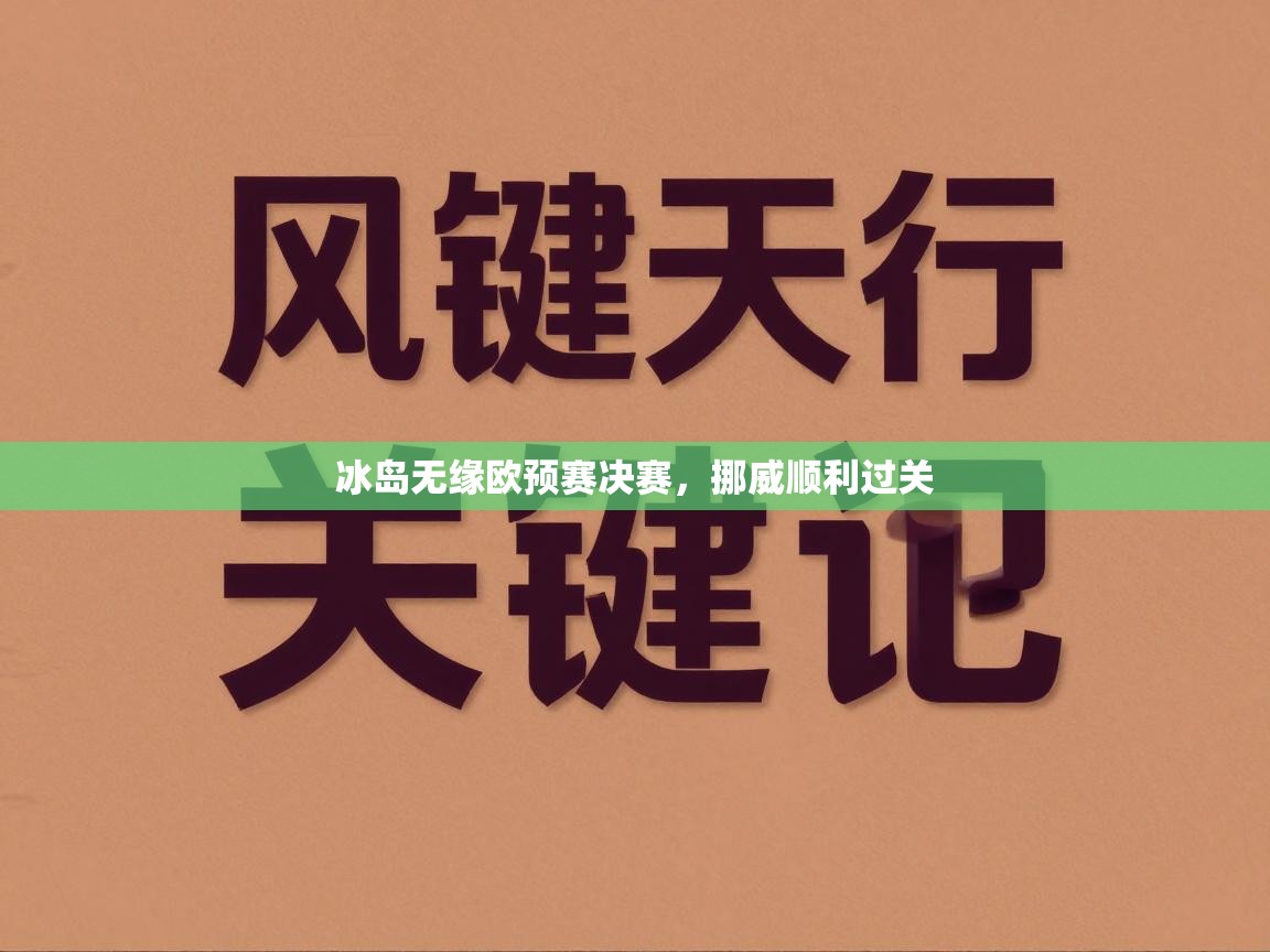 冰岛无缘欧预赛决赛,挪威顺利过关 第2张