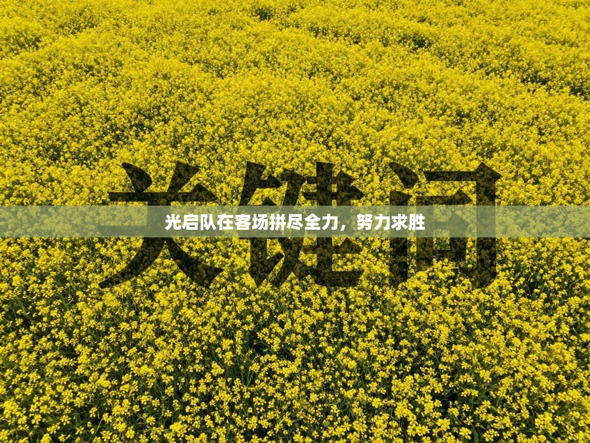 光启队在客场拼尽全力，努力求胜  第2张