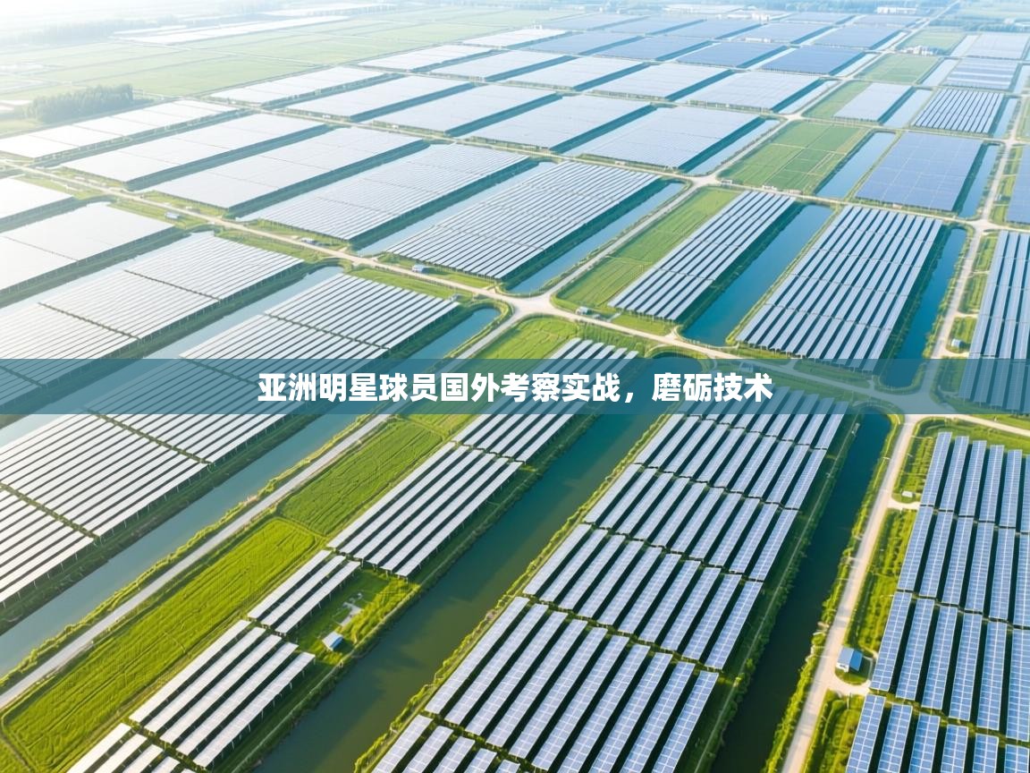 亚洲明星球员国外考察实战,磨砺技术 第1张