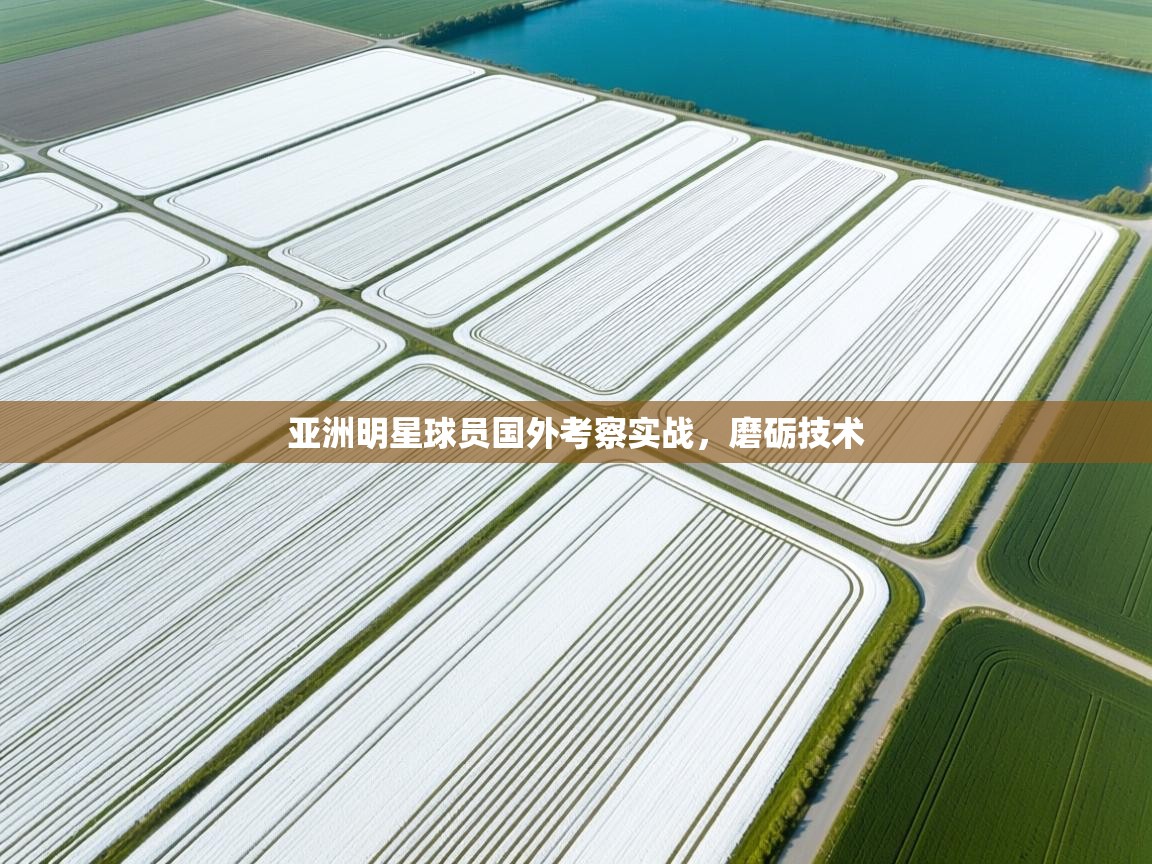 亚洲明星球员国外考察实战,磨砺技术 第2张